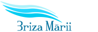 Caminul de Batrani Briza Marii logo