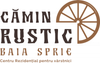 Căminul Rustic Baia Sprie logo