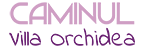 Căminul Villa Orchidea logo